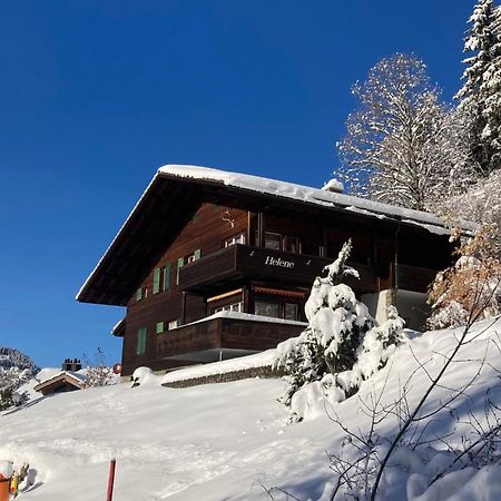 Apartment Helene Apt Diana By Interhome Wengen Zewnętrze zdjęcie