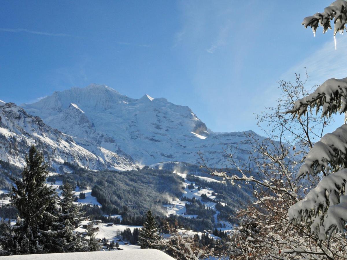 Apartment Helene Apt Diana By Interhome Wengen Zewnętrze zdjęcie